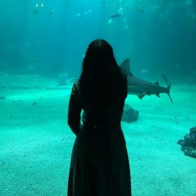 Amello210's profile picture. s7 v194