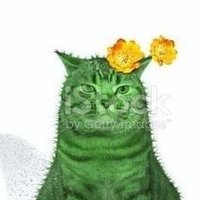 Bonkdraws_🌵🍉 (@_mcdn_) 's Twitter Profile Photo Bonkdraws_🌵🍉 (@_mcdn_) 's Twitter Profile Photo