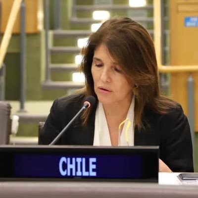 Paula Narváez Profile