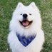 songmp (@songmpv) Twitter profile photo songmp (@songmpv) Twitter profile photo