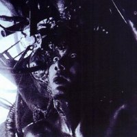 ☮️𝔪𝔞𝔰𝔰𝔦𝔳𝔢☮️ (@massive_jp_) 's Twitter Profile