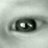 treserres73's profile image
