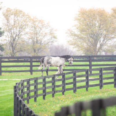 Tracking all your favorite horses, from daily workouts to results from the weekend's top races. Born and raised at Del Mar