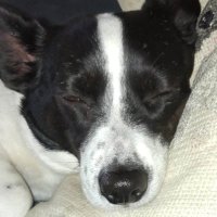 T4M! (@t4_mathematics) 's Twitter Profile