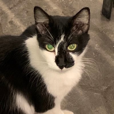 _emergencyp's profile picture. 