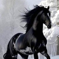 KHALD (@kh1177999) 's Twitter Profile