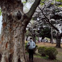 まさ【ねぎしお】 (@mcolam) Twitter profile photo