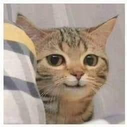 Nadun1655's profile picture. 