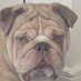 Oscar Catton (@ojc170501) Twitter profile photo Oscar Catton (@ojc170501) Twitter profile photo