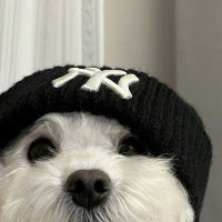 ᴛᴀᴏᴋʀᴀʙᴇɴ 🐈⬛ ! (@nnsnwpo) 's Twitter Profile Photo ᴛᴀᴏᴋʀᴀʙᴇɴ 🐈⬛ ! (@nnsnwpo) 's Twitter Profile Photo