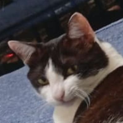 casluさんのプロフィール画像