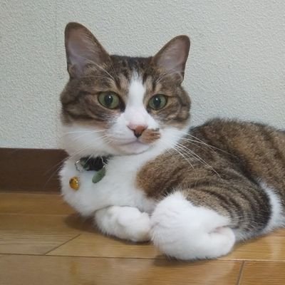 unknownさんのプロフィール画像