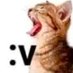 осел (@govnomes_) Twitter profile photo