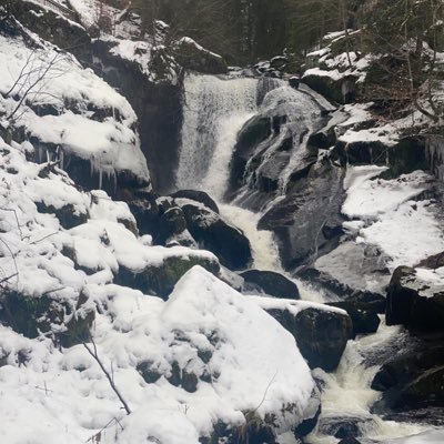 JulesFive5's profile picture. :/