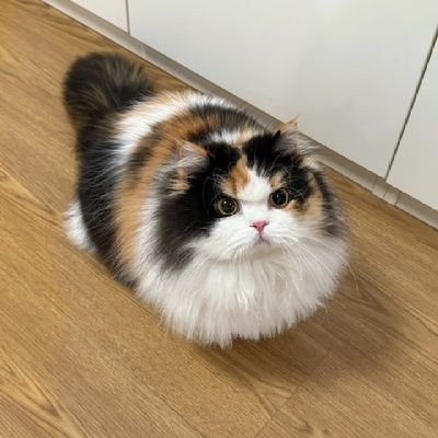 egr1841613's profile picture. 