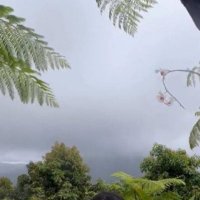 Mia tiktok (@tc_zoey) 's Twitter Profile