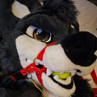 Andre Wolf (@andrewolfad) 's Twitter Profile