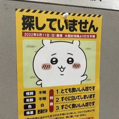 しゃかいじん👨💼 広告屋さん。 お酒が本当に飲めないので… それでも良いなら… テキトーにDMしてくれると喜びます