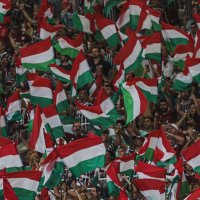 Pauloᶠᶠᶜ 🇭🇺 FLUMINENSE! 🇭🇺 (@guerreiro_ffc) 's Twitter Profile