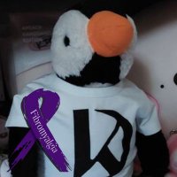 Junho The Penguin (@junhothepenguin) 's Twitter Profile