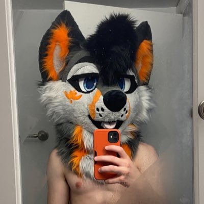 MeowfurshotAD's profile picture. i need a boyfriend so badly HELP ME @meowfurshot