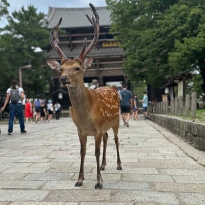 Biggest_Dawgg's profile picture. it’s me