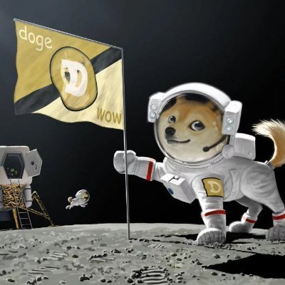 228simplebuster's profile picture. 