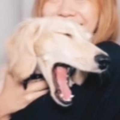 𝗧 𝗛 𝗥 𝗘 𝗘⠀ 𝗠 𝗔 𝗡⠀ 𝗗 𝗢 𝗪 𝗡 ⠀ lll ⠀ ——–—— ⠀ ❥ ᴋɪᴛᴛʏᴜᴍʙꜱ°`~* ⠀ | ᴛʜᴀʏᴡᴘᴄᴄ | ꜱᴇɴɢᴡɪꜱᴀʀᴜᴛʜ | ᴏʜᴍᴛᴍᴅ | ᴛᴏᴏɴᴛʜʀᴇᴇᴍᴀɴᴅᴏᴡɴ |