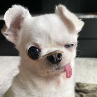 จ่ามะจ๊ะจีงจา (@qp200x_) 's Twitter Profile