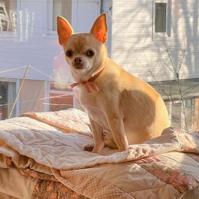 tuff_gnarl's profile picture. 