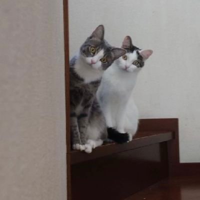 MathumotoR84093's profile picture. 20歳　社会人関西住み