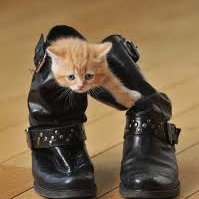 HBilovosh's profile picture. Ти або створюєш своє життя, або - чужу мрію