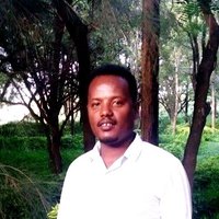 Bulo Debesa (@bulodebesa) 's Twitter Profile