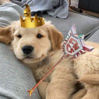 Kevo (@kevofn4) 's Twitter Profile
