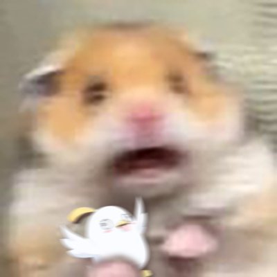 白原🍮🍩さんのプロフィール画像