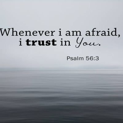 ndapandula__'s profile picture. 