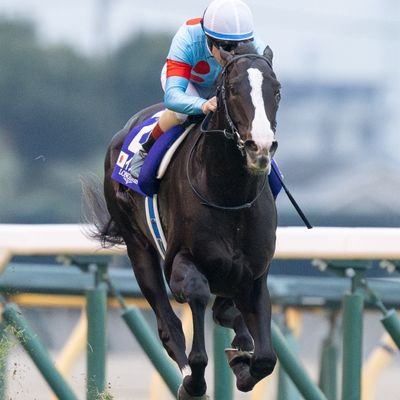 1951_51's profile picture. 