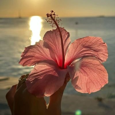 Xtar582555's profile picture. รีวิวสวยๆงามๆ💓✨