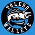 Toledo Walleye (@toledowalleye) Twitter profile photo Toledo Walleye (@toledowalleye) Twitter profile photo