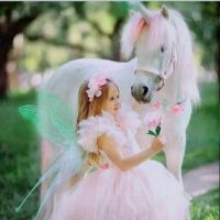 Syeda Afreen (@syedaafreen255) 's Twitter Profile