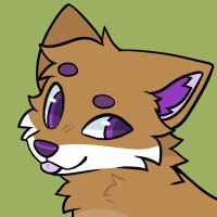 Shae the fox (@shaethefox87) 's Twitter Profile
