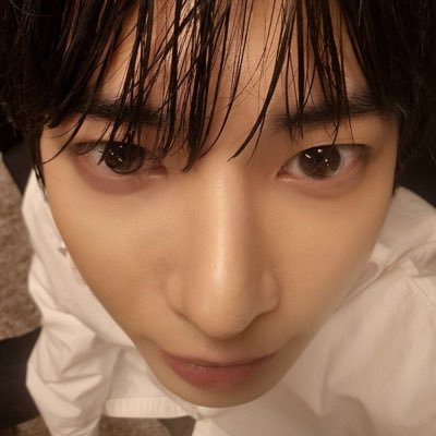 ttyunktty's profile picture. 🐰🐿️🐈‍⬛