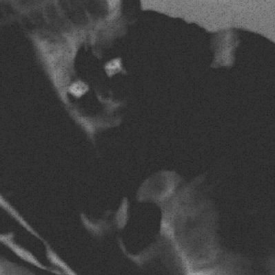 🅱️ (18+, nsfw incoming)
resident sad cat meme (^._.^)ノ
uncensored, unhinged, untamed,
ALSO there will be PL mention!