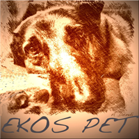 ’associazione di volontariato animalista “Ekos Pet” nasce il 4 ottobre 1999 e dal 5 marzo 2004 è iscritta all’Albo delle Associazioni riconosciute dalla Regione
