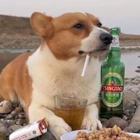 $1000 crab (@benseesthings) 's Twitter Profile