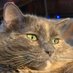 Caitlyn Jacobsen โก๏ธ Env. Artist (@cjacobsen3d) Twitter profile photo Caitlyn Jacobsen โก๏ธ Env. Artist (@cjacobsen3d) Twitter profile photo