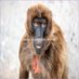 championgramfitness (@championgr38940) Twitter profile photo
