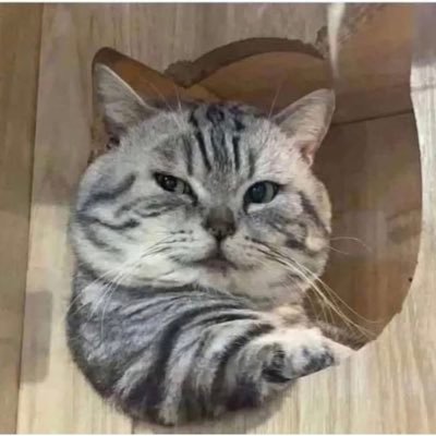 jhorrorstory666's profile picture. 
