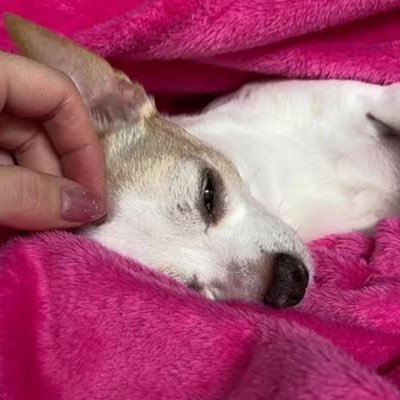 1015Di's profile picture. Lover of old souls and handwritten letters. Living in the wrong era, thriving anyway