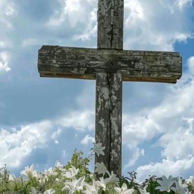 By the blood of the lamb and by the word of my testimony and I'll love not my life into death 💀 am a servant of God jesus christ